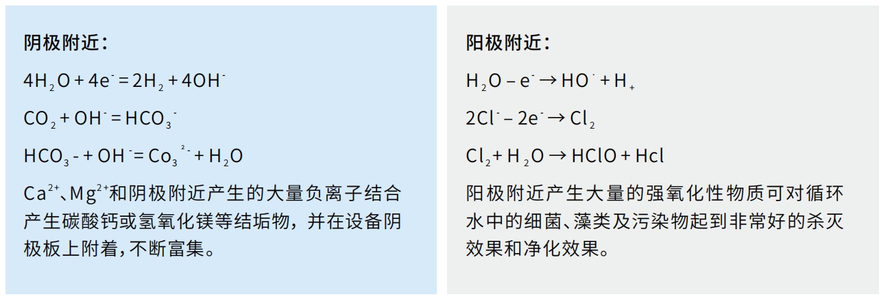 电化学水处理系统DLEWT 电化学水处理系统DLEWT